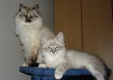 DSC01682 - kopie.JPG